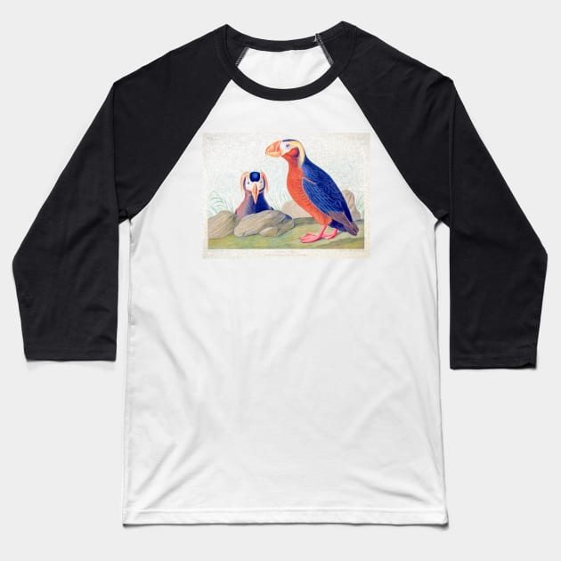 John Audubon Reimagined - Auk Baseball T-Shirt by JohnCorney
